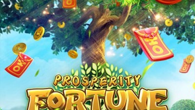 부귀의 행운 나무 【Prosperity Fortune Tree】
